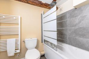 La salle de bains est pourvue d'une douche et de toilettes. dans l'établissement Sous les Toits de Stanislas, à Nancy