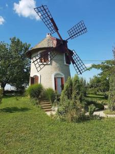 una casa con un molino de viento en un campo en Kuća za odmor na Tisi - Vila Vetrenjača, en Čurug