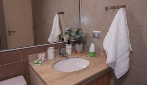 un baño con lavabo y espejo en Departamento Temuco Centro, en Temuco