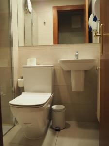 ein Bad mit einem WC und einem Waschbecken in der Unterkunft Pensión Acella in Pamplona