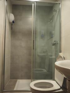 a bathroom with a shower with a toilet and a sink at Pensión Acella in Pamplona