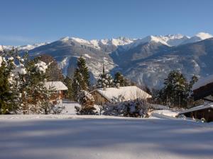 a house covered in snow with mountains in the background at Apartment Plein Sud 3 by Interhome in Ovronnaz +21 photos