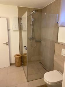 ein Bad mit einer Dusche und einem WC in der Unterkunft Ferienwohnung in Lay in Koblenz