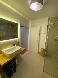 ein Bad mit einem Waschbecken, einer Dusche und einem Spiegel in der Unterkunft Ferienwohnung in Lay in Koblenz