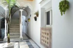 a hallway of a house with a staircase and a palm tree at APARTAMENTO VEEDOR 19 DÍAS Y MUCHAS NOCHES in Cádiz +10 photos