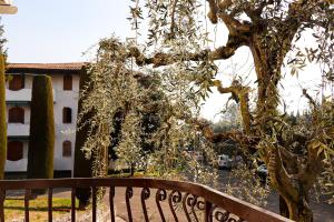 een houten bank naast een boom en een gebouw bij Casa Mirra in Peschiera del Garda