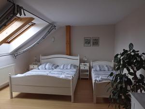 ein Schlafzimmer mit 2 Betten und einer Topfpflanze in der Unterkunft Penzion V Podzámčí Litomyšl in Litomyšl