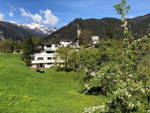 ein Haus auf einem Feld mit Bergen im Hintergrund in der Unterkunft Haus Schmid in Tobadill