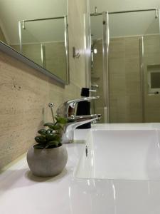 a bathroom with a sink with a plant on it at Casa Iulian in Cavnic
