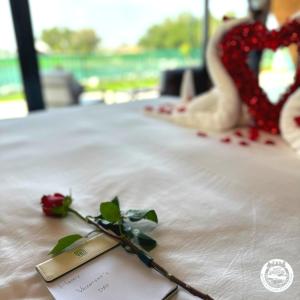 Fotografie z fotogalerie ubytování Nirvana Retreat By Patanjali Wellness Initiative v destinaci Ras al Khaimah + 37 fotografií