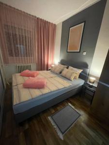 Postel nebo postele na pokoji v ubytování Apartman Tara Sombor