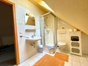a bathroom with a toilet and a shower and a sink at Hotel Gutshaus Kajahn in Gustow
