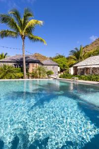 a swimming pool with a palm tree in front of a house at Hotel Le Toiny in Gustavia
