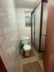 een badkamer met een toilet en een betegelde muur bij Cabaña independiente a 5 minutos del centro in Valdivia