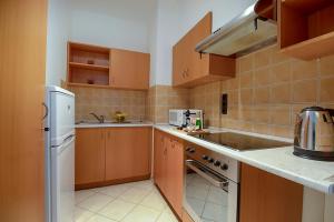 Kuchyň nebo kuchyňský kout v ubytování LOTUS Apartments GOZSDU