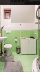 La salle de bains verte est pourvue de toilettes et d'un lavabo. dans l'établissement Apartman Adzic, à Zlatibor