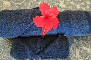 a red maple leaf on top of a blue scarf at Les Villas Thorel - Hibiscus in Rivière Noire +21 photos