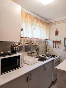 豪伊杜索博斯洛的住宿－Emmy Apartman，厨房配有水槽和微波炉