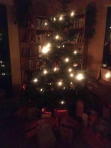 a christmas tree with lights in a room at Gemütliche Wohnung auf dem Ziegenhof in Lemgo