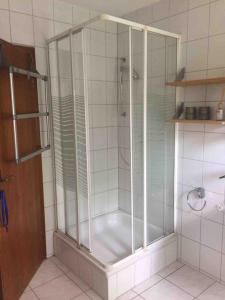 a shower with a glass door in a bathroom at Gemütliche Wohnung auf dem Ziegenhof in Lemgo