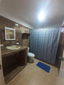 a bathroom with a sink and a toilet and a shower at Beicoc2 in Cozumel
