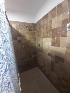 Łazienka z prysznicem wyłożona jest brązowymi kafelkami. w obiekcie Beicoc2 w mieście Cozumel