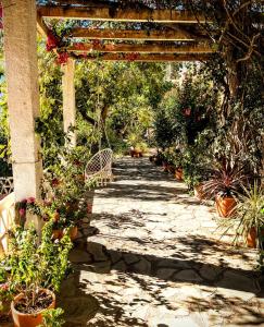 a pathway with a pergola with potted plants at Casa Jazmin in Órgiva