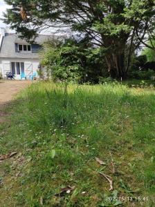 pole trawy z drzewem i domem w obiekcie Er Mervent Maison de vacances w mieście Plobannalec-Lesconil
