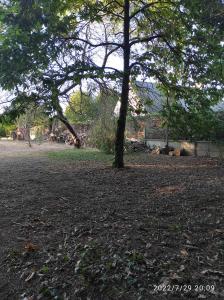 Zdjęcie z galerii obiektu Er Mervent Maison de vacances w mieście Plobannalec-Lesconil