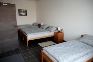 een kamer met 2 bedden in een kamer bij Apartman ERIK in Požega