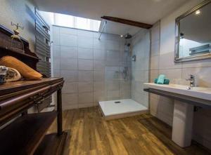 a bathroom with a shower and a sink and a mirror at Guesthouse Le Vauban in Neuf-Brisach