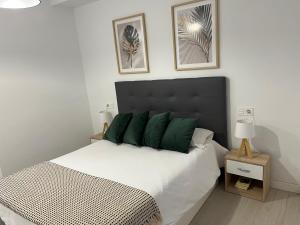 um quarto com uma cama grande e almofadas verdes em VuT IMPERIAL LA RANITA SALMANTINA em Salamanca