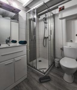 łazienka z prysznicem, toaletą i umywalką w obiekcie Yellow Studio - Poitiers Coeur de ville w mieście Poitiers