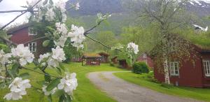 uma estrada que leva a uma casa com flores brancas em Lensmansgarden em Innfjorden