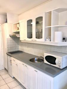 una cocina con fregadero y microondas en una encimera en Studio Apartment near to Paris, en Créteil