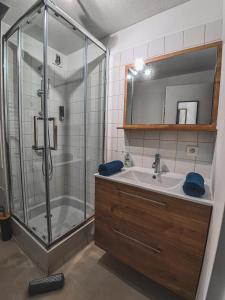 a bathroom with a shower and a sink at Grand Studio neuf Parking Privatif 3 minutes Gare au calme in Poitiers