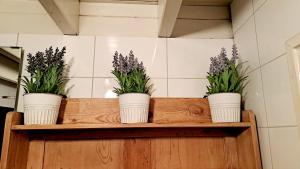 صورة لـ comfortable chalet in a unique location in forest في Essen