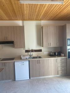 a kitchen with wooden cabinets and a white dishwasher at TheonikosHouse in Agros