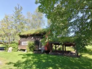 Innfjorden的住宿－Lensmansgarden Fjøsen，绿色田野上草屋顶的房子
