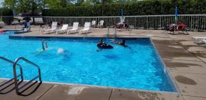 two people are swimming in a swimming pool at Clarion Pointe by Choice Hotel in Erie