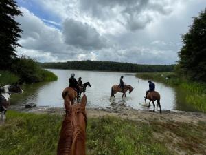 un grupo de personas montando caballos en el agua en JZ Guest Ranch, en Woldenberg Neumark