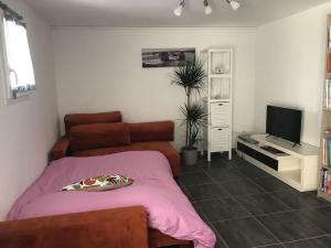 salon z łóżkiem i telewizorem w obiekcie Maison avec piscine au calme w mieście Puygiron