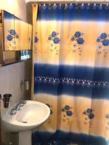 baño con lavabo y cortina de ducha en Vientos Del Sur en Río Gallegos