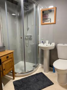 a bathroom with a shower and a toilet and a sink at The Barn at Providence Cottage in Alkborough