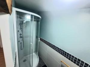 a bathroom with a glass shower with a toilet at Maison chaleureuse avec jardinet & parking gratuit in Eymet