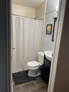a bathroom with a shower with a toilet and a sink at Bright 3bdrm perfect location 2.5 mi to SPAC , Close to track, downtown and Saratoga hospital in Ballston Spa