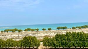 een rij bomen in een veld naast de oceaan bij Diamond Tower in Al Jubail