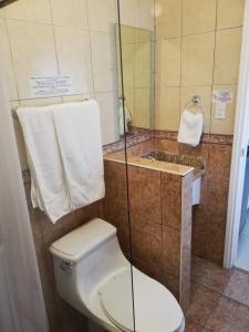 a bathroom with a toilet and a shower and a sink at Suites Leon Rojo in Tijuana