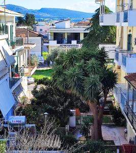 a palm tree in the middle of a city at Lauren's Charm Town Apartment in Lefkada