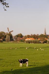 Fotografie z fotogalerie ubytování B&B de Hartewens v destinaci Zuidland